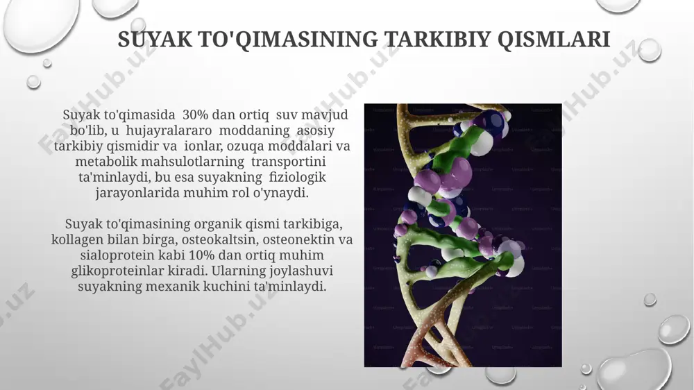 suyak to‘qimasi biokimyosi - Page 5