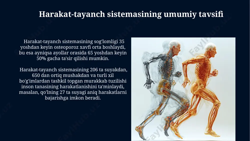 travmatologiya markazining ma’lumotlariga ko'ra, yiliga 15000 dan ortiq mushak yirtilishi holati qayd etiladi, bu esa umumiy shikastlanishlar sonining 20% ni tashkil qiladi. samarqand viloyatida o'tkazilgan tadqiqotlar shuni ko'rsatdiki, mushak shikastlanishlarining 35%i noto'g'ri jismoniy mashqlar tufayli, 15% esa avtohalokatlar natijasida yuz beradi. suyaklar voyaga yetgan odamning femur suyaklari (son suyagi) inson tanasidagi eng uzun va eng kuchli suyak bo'lib, uzunligi taxminan 40-50 sm ga yetadi. odamning bosh suyagida 22 ta suyak bo'lib, ularning bir qismi, masalan, jag' suyagi, harakatlanuvchan bo'ladi. suyaklarning tuzilishi va funksiyasi uzun suyaklarning diafiz qismi, markaziy bo'shliqqa ega bo'lib, qizil suyak ko'migi, masalan, sternumda qon hujayralari hosil bo'lishini ta'minlaydi. oyoq suyaklari, masalan, o'rta oyoq suyaklari, metatarsallar, harakatlanishga va tananing vaznini ko'tarishga yordam beradi, 26 ta suyakdan iborat. skeletning rivojlanishi tug'ilishdan keyin birinchi yil ichida, chaqaloq skeleti 300 ga yaqin suyaklardan iborat bo'lib, ularning ko'pchiligi xaftaga to'qimadan iborat bo'ladi va keyinchalik, o'sish jarayonida, 206 ta suyakka birlashadi. o'smirlik davrida, …