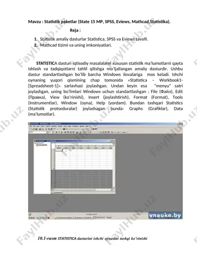 statistik paketlar — DOC