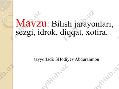bilish jarayonlari — PPTX