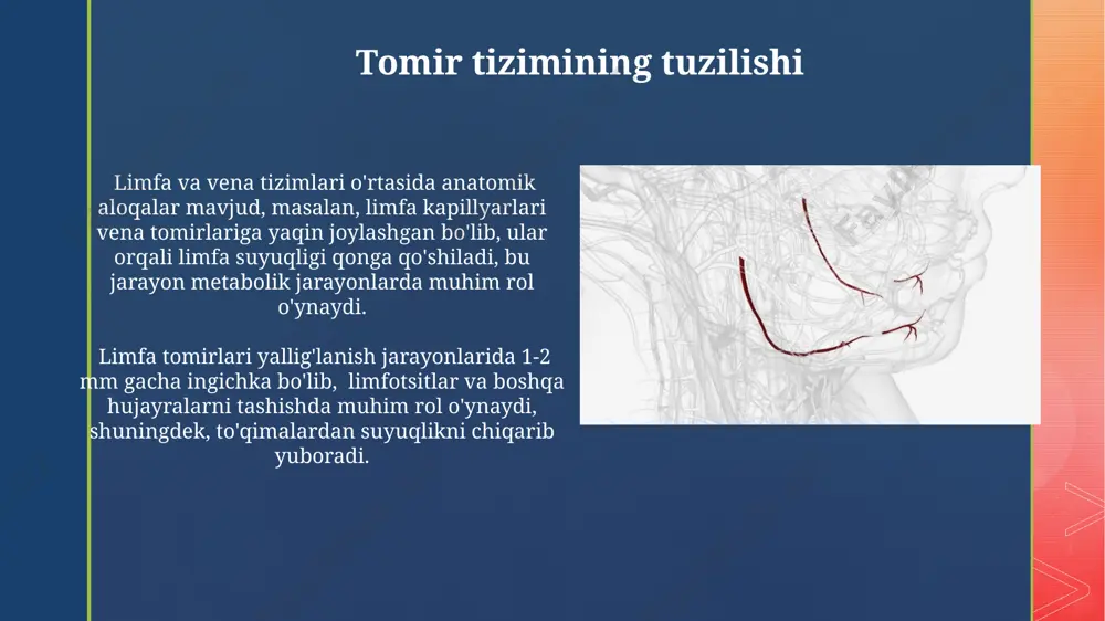ning ikkalasi ham suyuqliklarni tashishda ishtirok etadi, ammo limfa suyuqligi to'qimalardagi ortiqcha suyuqlikni va chiqindilarni yig'adi, tomirlar esa qonni yurakka qaytaradi. limfa tizimi shuningdek, 1-2 litr limfani kuniga qaytaradi. limfa suyuqligi asosan suvdan (90%), oqsillardan (4%), yog'lardan, tuzlardan va limfotsitlar kabi hujayralardan tashkil topgan bo'lib, organizmda to'qimalardan suyuqlikni yig'ish va immunitet himoyasini ta'minlash vazifasini bajaradi. qon aylanish tizimi mexanizmi limfa va vena tizimlari o'zaro bog'liq bo'lib, to'qimalardan suyuqlikni yig'ib, qon oqimiga qaytaradi, bu jarayonda 2 litrgacha suyuqlik qayta ishlanadi. vena qon tomirlari klapanlari qonning yurakka qaytishini ta'minlaydi, bu jarayon venoz qon bosimining pastligi tufayli 15-20 smhg gacha yetishi mumkin. kasalliklarda limfa va tomirlarning roli tomirlarning yallig'lanishi (flebit) yoki tromboflebit (qon tomirlarida tromb hosil bo'lishi) oyoqlarda shish, og'riq va qizarish kabi 3 ta asosiy simptom bilan namoyon bo'ladi. kasallik jarayonida limfa tugunlarining kattalashishi, masalan, yuqumli mononukleozda 2-3 baravar ko'payishi, infektsiyaning tarqalish darajasini ko'rsatadi. e'tiboringiz uchun rahmat @taqdimot_robot image4.jpg image5.jpg image6.jpg image7.jpg …