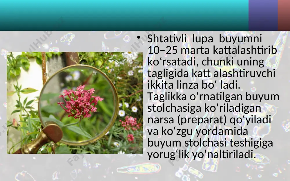 kattalashtirib ko‘rsatadigan asboblar. 5 - sinf - Page 4