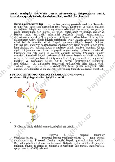 buyrak yetishmovchiligi — PDF