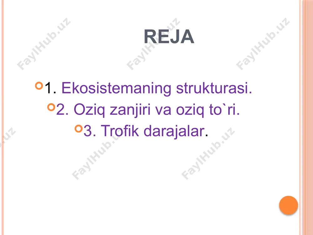 ekotizimlarning trofik strukturasi - Page 3