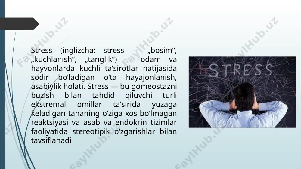 stressogen vaziyatning qiyosiy tahlili - Page 3