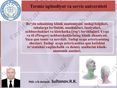 boʻyinsohasi klinik anatomiya — PPTX