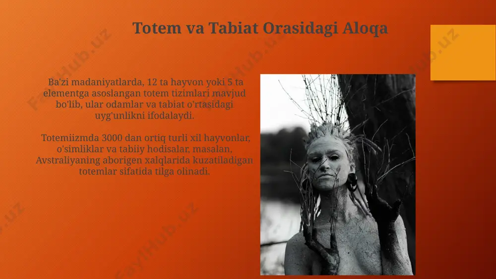 totemizm va anemizm - ibdidoiy din shakli - Page 5