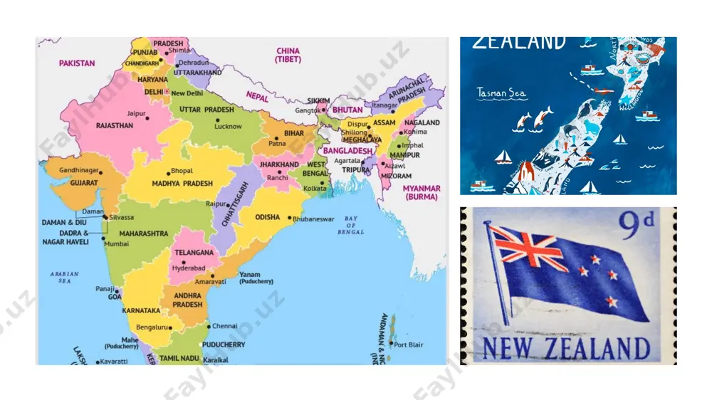 new zealand and india comparison - Page 3