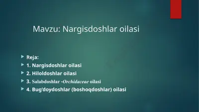 nargisdoshlar oilasi — PPTX