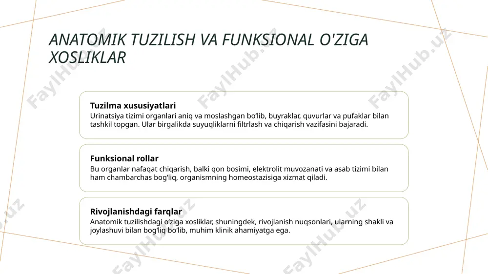 siydik ayiruv a’zolarining rivojlanish nuqsonlari - Page 4