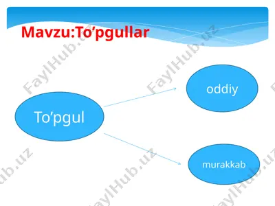 to’pgullar — PPTX