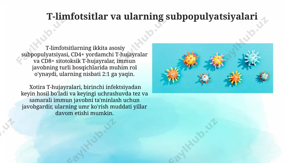 .jpg image17.jpg image18.jpg image1.png