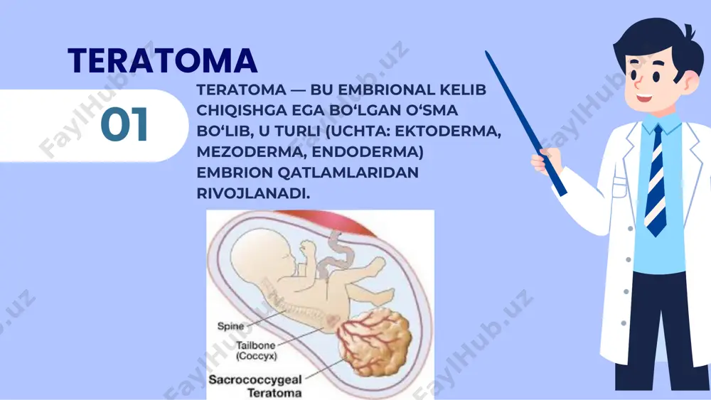 en mutatsiyaga uchraganda embrional hujayralar to‘g‘ri diferensiallasha olmaydi — natijada o‘sma paydo bo‘ladi. b) wt2 lokusi (11p15) mutatsiyasi: • bu hududda igf-2 (insulin-growth factor 2) geni joylashgan. • bu gen haddan tashqari faol bo‘lsa, hujayralarning haddan tashqari o‘sishiga olib keladi. 01 2. irsiy sindromlar (genetik kasalliklar bilan bog‘liq holatlar): a) wagr sindromi: • wilms tumor, aniridiya (ko‘z rang qatlami yo‘qligi), genital anomaliya, mental retardatsiya • wt1 genining yo‘qolishi bilan bog‘liq b) denys-drash sindromi: • nefropatiya, jinsiy bezlar displaziyasi va wilms o‘smasi • wt1 genining dominant-negativ mutatsiyasi asosida rivojlanadi c) beckwith-wiedemann sindromi: • yirik tana o‘lchami, tilning katta bo‘lishi, kindikda g‘udda • 11p15 hududidagi genlarning epigenetik o‘zgarishi bilan bog‘liq 02 3. rivojlanishdagi (embrional) buzilishlar: • homila rivojlanishida buyrakdagi blastemal hujayralar to‘xtovsiz o‘sib qoladi. • bu hujayralar aslida buyrak nefronlariga aylanishi kerak, ammo noto‘g‘ri rivojlanib o‘smani hosil qiladi. 4. irsi bo‘lmagan, tasodifiy mutatsiyalar: • ba’zi hollarda wilms o‘smasi irsiy bo‘lmaydi, balki tasodifiy …