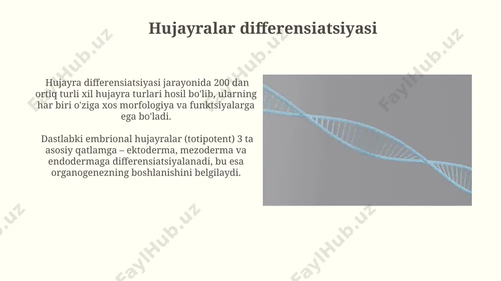 ontogenez rivojlanish xususiyatlari - Page 4