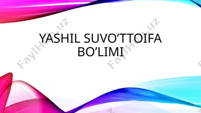 yashil suvo’ttoifa bo’limi — PPTX