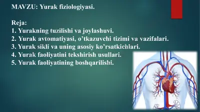 yurak fiziologiyasi — PPTX