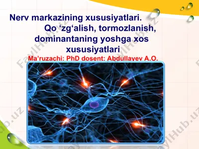 nerv markazining xususiyatlari — PPT