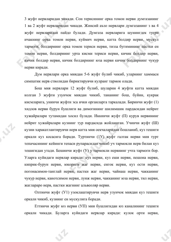 влар киради: кулок орти нерви, кулокнинг ички нерви, куш коринли мускул нерви, ковок-кулок нерви, буйин нерви, лунжнинг юкориги нерви, лунжнинг пастки нерви. саккизинчи жуфт (уш) эшитув ва мувозанат нерви сезувчи нерв булиб, ички кулокнинг чиганок ва дахлиз нейритларидан хосил булади. 3. вегетатив нервлар умурткасиз тубан хайвонларда булмайди. суякли баликлардан бошлаб, тугунлараро бириктирувчи нерв толалари улардан чегараловчи жуфт симпатик нерв стволи пайдо булиб, юкоригитомони баликнинг бошигача, пастки томони думигача етиб боради. вегетатив нерв системаси марказий нерв ситсемаси назорати остида органларни харакатлантиради. у ички органларнинг силлик мускулларига, кон томирларига, тери хамда мускулларга ташки ва ички секреция безларига таркалади. вегетатив нерв системаси морфологик ва физиологик жихатдан соматик нерв ситсемасидан фарк килади. бош мия хамда функция бажарувчи органларнинг эффектор алокаси соматик нерв системасига битта, вегетатив нерв системасига эса иккита нейрон билан бажарилади. преганглионар нейронлар постганглионар нейронлар билан синапс оркали богланади. преганглионар нейронлар танаси миянинг аник кисмларида: орка мия, кукрак-бел булими ва куймич булимининг биринчи,иккинчи,учинчи …