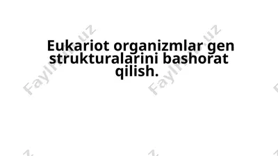 eukariot organizmlar gen strukturalarini bashorat qilish — PPTX