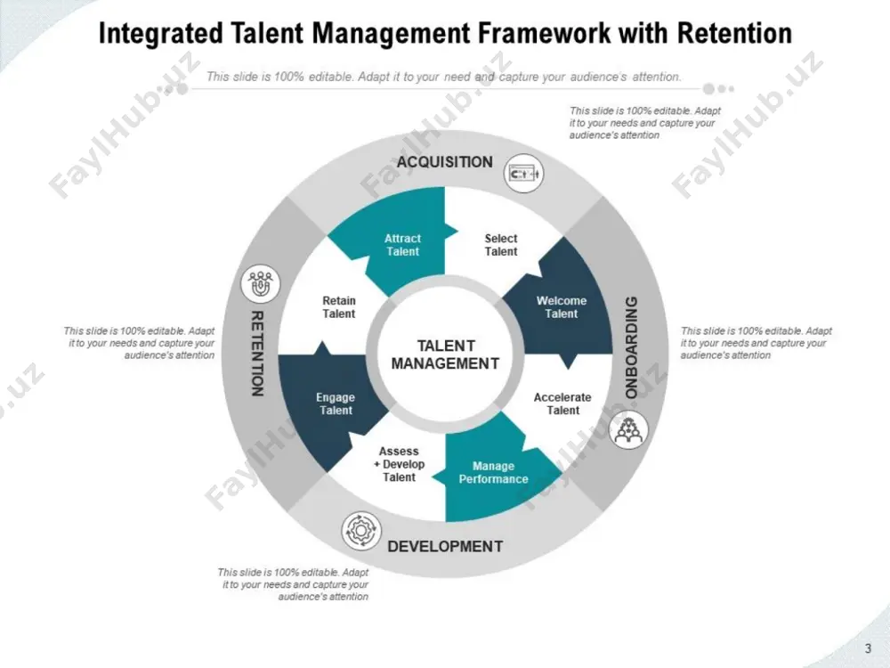talent management - Page 3