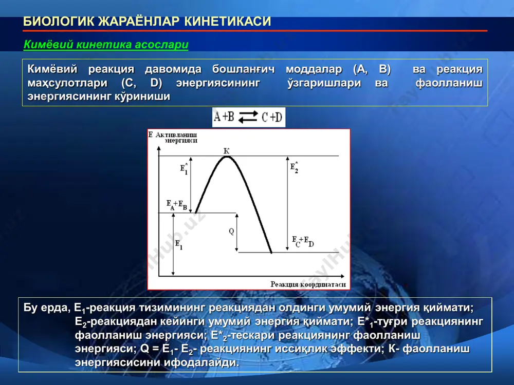 кm + s бу тенглама михаэлис - ментен тенгламаси деб аталади. михаэлиса-ментен тенгламаси ферментатив реакция тезлигининг субстрат концентрациясига боғлиқлиги биологик жараёнлар кинетикаси ферментатив реакциялар кинетикаси ферментатив реакция тезлигига муҳит рн -кўрсаткичи қийматининг таъсири ферментатив реакцияда еs комплекси ҳосил бўлиш механизмининг схематик тасвири. биологик жараёнлар кинетикаси ҳароратнинг реакция тезлигига таъсири a +b c кўринишда амалга ошувчи кимёвий реакцияда реакция тезлиги қуйидагича ифодаланади: v = k [a].[b] бу ерда: v– кимёвий реакция тезлиги / кимёвий реакция тезлигининг ҳарорат ўзгаришларига боғлиқ ўзгаришини дастлаб я.вант-гофф тажрибалар асосида кашф қилган ва бу қонуният қуйидагича ифодаланади: ҳарорат ҳар 10о с га оширилганда кимёвий реакция тезлиги ўртача 2-4 мартага ортади. t = v0 δt/10 биологик жараёнлар кинетикаси бир неча барқарор стационар ҳолатга эга ва улар ўртасида беқарор нуқта орқали ўтиш имконияти мавжуд бўлган тизим триггер тизим деб номланади. агар тизим триггер ўтишида фазали портрет деформацияси кузатилиб, бунда х- ўзгарувчи эмас, балки тизим параметрлари ўзгарса ва фақат битта …