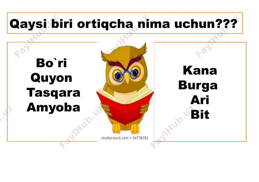 hayvon organizmi tuzilishi - Page 3