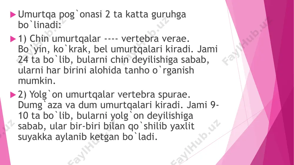 teshiklari joylashgan. undan tashqarida lateral qismlar bor, undagi quloqsimon yuza yonbosh suyagidagi shunday yuza bilan bo‘g‘im hosil qilib, qo‘shilib turadi. uning yuqori qismida boylamlar va mushaklar birikadigan dumg‘aza do‘ngligi bor. dumg‘aza umurtqalarining teshiklari o‘zaro qo‘shilib dumg‘aza kanalini tashkil etadi. bu kanal pastga tomon torayib dumg‘aza yorig‘i bo‘lib tugaydi. uning ikki tomonidagi bo‘g‘im o‘siqchalari dumg‘aza shoxini hosil qiladi. dum umurtqalari (vertebra coccygeae) 4–5 ta bo‘lib, odamda qoldiq umurtqalar hisoblanadi; ular katta odamda suyaklanib uchburchak shaklidagi dum suyagini vujudga keltiradi. u oldinga qarab bukilgan bo‘lib, asosi yuqoriga, uchi esa pastga qaragan. i dum umurt qasida dum g‘aza suyagi bilan bo‘g‘im hosil qiladigan uncha katta bo‘lmagan tanadan tashqari dum suyagining shoxi ham bor. xulosa: umurtqalarning odamda joylashishi: 1) tanasi oldinda joylashadi 2) qirrali o`simtasi orqada joylashadi. umurtqalar 3 ta qismdan tashkil topgan. 1) corpus vertebrae ---tanasi 2) arcus vertebrae --- ravog`i (umurtqa yoyi) 3) processus spinosus--- qirrali o`simtasi  har bir umurtqada quyidagi …