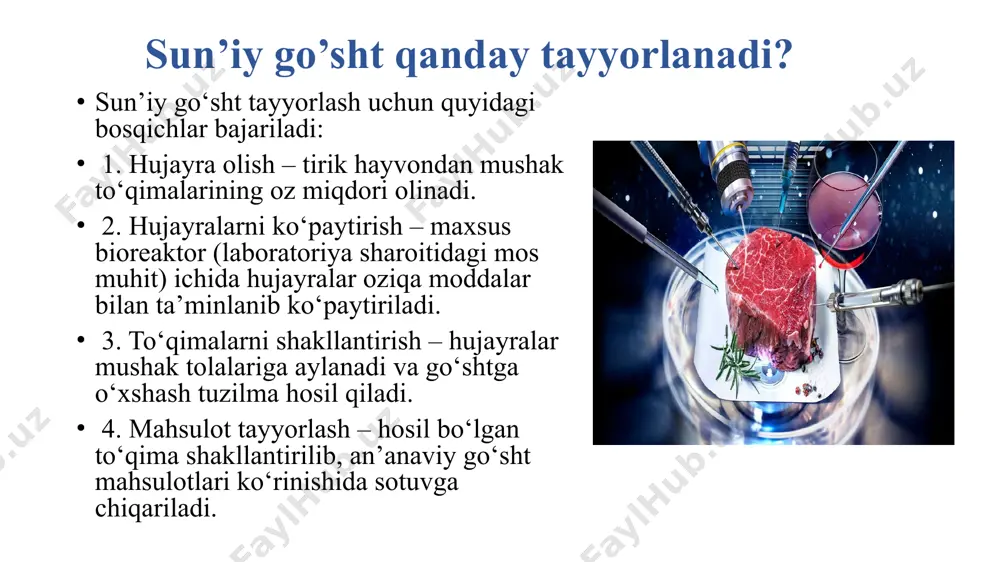 sun’iy go’sht - Page 3