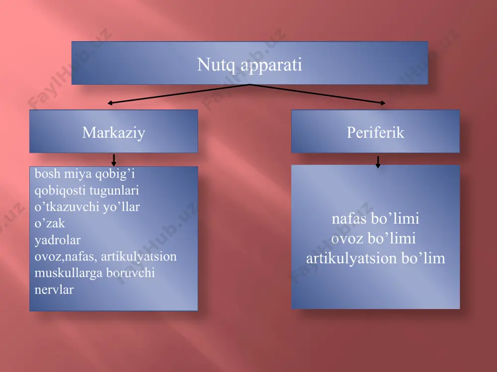 tufayli hosil qilinadi. rezonatorlar nadstav nayida joylashgan.nadstav navi — bu hiqildoqdan yuqorida joylashgan: halqum, og‘iz bo'shlig'i va burun bo'shlig'i hisoblanadi. e’tiboringiz uchun raxmat! image2.png image3.png image4.png image5.png image6.png image7.png image8.png image9.png image10.png image11.png image12.png image13.png image14.png image15.png image16.png image17.png image18.png /docprops/thumbnail.jpeg