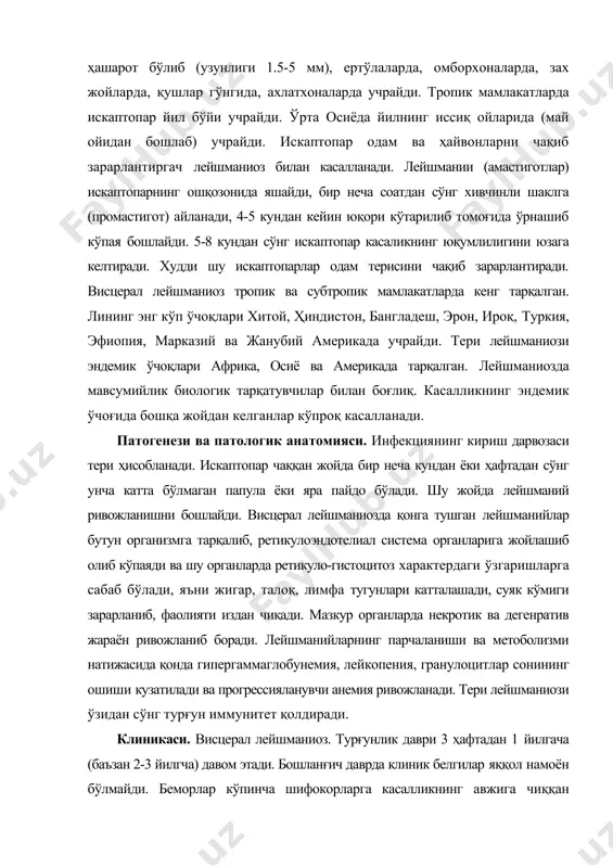 ijasida qonda gipergammaglobunemiya, leykopeniya, granulotsitlar sonining oshishi kuzatiladi va progressiyalanuvchi anemiya rivojlanadi. teri leyshmaniozi o'zidan so'ng turg'un immunitet qoldiradi. klinikasi. vistseral leyshmanioz. turg'unlik davri 3 haftadan 1 yilgacha (ba'zan 2-3 yilgcha) davom etadi. boshlang'ich davrda klinik belgilar yaqqol namoyon bo'lmaydi. bemorlar ko'pincha shifokorlarga kasallikning avjiga chiqqan davrida murojat qilishadi. kasallikning boshlang'ich davrida bemorda isitma bilan birga qaltirash kuzatiladi. isitma to'lqinsimon xarakterda bo'lib bir necha kundan bir necha haftagacha davom etadi. ba'zi hollarda harorat bir kecha kunduzda uch marta yuqori darajaga ko'tariladi. ko'rik vaqtida bemor terisi anemiyaga xos rangpar bo'lishi kuzatiladi. gemorragik sindrom asorati sifatida terida petixial toshmalar paydo bo'ladi. bemorning ahvoli tezda og'irlashadi, anemiya va leykopeniya kuchayib boradi. rivojlanib boruvchi leykopeniya va agranulotsitoz natijasida halqum atrofi va og'iz bo'shlig'ida yarali nekrotik jarayon rivojlanadi. eng xarakterli belgilardan biri bu jigar va taloq kattalashishidir. jigar odatda kindik chizig'iga qadar kattalashadi, taloqning pastki qirrasi kichik chanoqqacha tushadi, yuqori qirrasi esa 6-7 qovurg'alar sohasigacha …