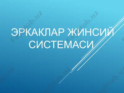 эркаклар жинсий системаси — PPTX
