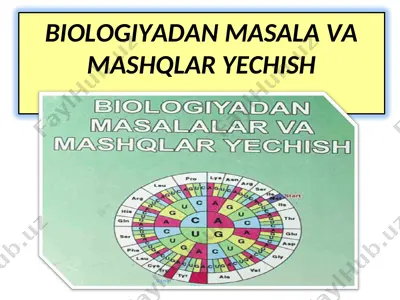 biopolimerlar bo‘yicha masala va mashqlar yechish — PPT