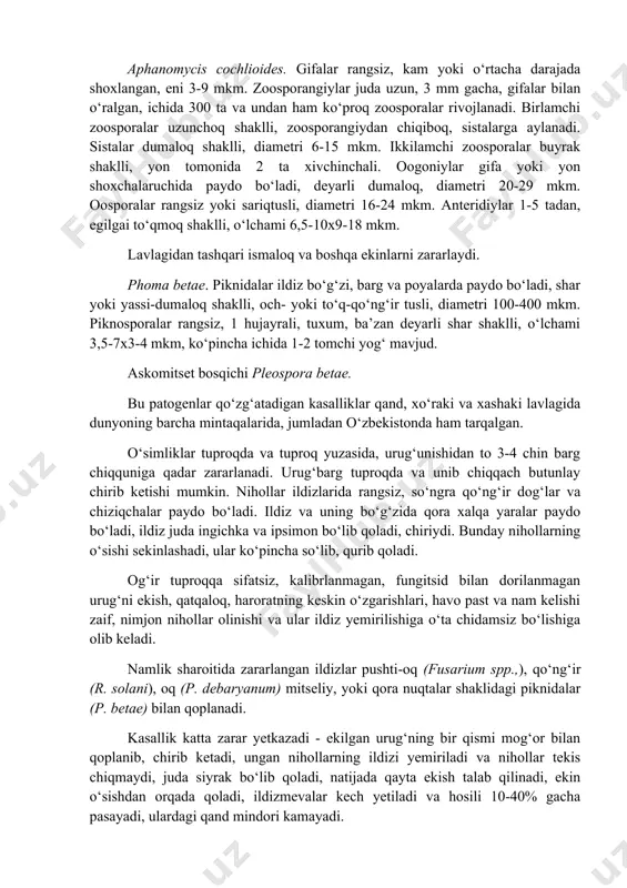 sklerotsiylar hosil qiladi. askomitset bosqichi gibberella fujikuroi. aphanomycis cochlioides. gifalar rangsiz, kam yoki o‘rtacha darajada shoxlangan, eni 3-9 mkm. zoosporangiylar juda uzun, 3 mm gacha, gifalar bilan o‘ralgan, ichida 300 ta va undan ham ko‘proq zoosporalar rivojlanadi. birlamchi zoosporalar uzunchoq shaklli, zoosporangiydan chiqiboq, sistalarga aylanadi. sistalar dumaloq shaklli, diametri 6-15 mkm. ikkilamchi zoosporalar buyrak shaklli, yon tomonida 2 ta xivchinchali. oogoniylar gifa yoki yon shoxchalaruchida paydo bo‘ladi, deyarli dumaloq, diametri 20-29 mkm. oosporalar rangsiz yoki sariqtusli, diametri 16-24 mkm. anteridiylar 1-5 tadan, egilgai to‘qmoq shaklli, o‘lchami 6,5-10x9-18 mkm. lavlagidan tashqari ismaloq va boshqa ekinlarni zararlaydi. phoma betae. piknidalar ildiz bo‘g‘zi, barg va poyalarda paydo bo‘ladi, shar yoki yassi-dumaloq shaklli, och- yoki to‘q-qo‘ng‘ir tusli, diametri 100-400 mkm. piknosporalar rangsiz, 1 hujayrali, tuxum, ba’zan deyarli shar shaklli, o‘lchami 3,5-7x3-4 mkm, ko‘pincha ichida 1-2 tomchi yog‘ mavjud. askomitset bosqichi pleospora betae. bu patogenlar qo‘zg‘atadigan kasalliklar qand, xo‘raki va xashaki lavlagida dunyoning barcha mintaqalarida, …