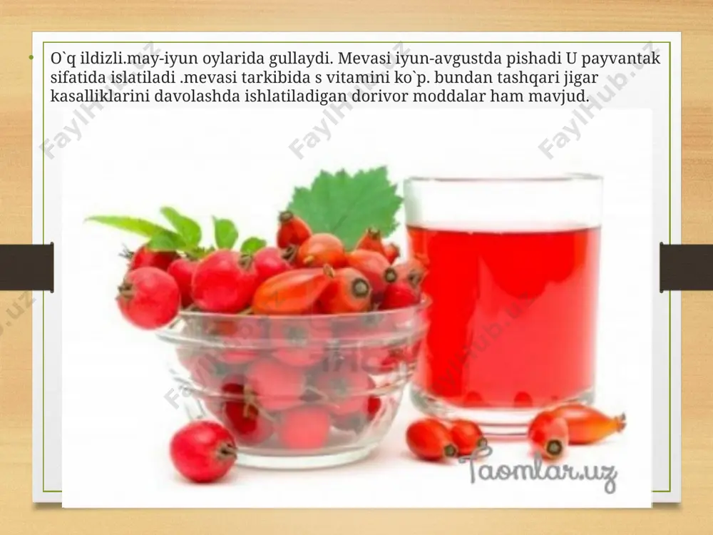 o`tkir, uzunligi 4-6 sm, eni2-3 sm bo`ladi. u mart oyida ko`karadi va shu oyning oyning o`zida gullydi, gulari oq rangda. mevasi iyun iyul oylarida pishadi. u har hil shaklda, sariq och qizil , to`q qizil rangda. mevasida yopishqoq shirali neatin deb ataluvchi modda bo`lganligi uchun konditer sanoatida marmelad tayyorlashda ishlatiladi. irg`ay (kotoneaster multiflora) rra`noguldoshlar oilasidan, bo`yi 0,5-1,5m ga tetadigan tik o`suvchi buta . barglari uzun teskari tuxumsimon. ancha enli barglarining ikki tomoni ham tuksiz . irg`ay may oyida gullaydi ,ro`vak shaklida to`p gul hosil qiladi. gultoji oq ,mevasi sentabr oyida pishadi.u och qizil rangli,cho`zinchoq tuxumsimon ,uzunligi 6-10 mm 1-2 ta danakdan iborat.manzarali buta. gullar uchun payvantag sifatida ham ishlatiladi. chetan (sorbus persika ) ranoguuldoshlar oilasidan, boyi 3-5 m yetadigan buta yoki daraxt. barglari nashtarsimon o`tkir uchli, uzunligu 10 – 16 sm, iyun oyida gullaydi. qizil rangli gullarnind bir nechasi yig`ilib diometri 15 sm bo`ladigan to`p gul hosil qiladi gulkosasi uchburchak …