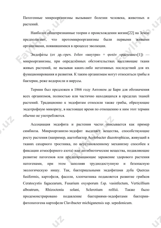 иши. другие эндофитные грибы, например, виды epichloë (а также их анаморфы neotyphodium), проникают во все ткани растения, в том числе в их семена, распространяясь с ними. в результате растения на всех стадиях развития уже заражены грибком. эндофитные микроорганизмы — это бактерии, грибы или актиномицеты, которые поселяются внутри тканей здоровых растений, не вызывая видимых признаков заболевания. они образуют с растениями симбиотические или комменсальные отношения, оказывая положительное влияние на их рост, развитие и устойчивость к неблагоприятным факторам окружающей среды. в последние десятилетия интерес к эндофитам резко возрос, так как они рассматриваются как альтернатива химическим удобрениям и пестицидам, а также как перспективный источник новых антибиотиков, ферментов и других биологически активных соединений. методы выделения эндофитных микроорганизмов отбор растительного материала для выделения эндофитов используют листья, стебли, корни и семена растений. важно брать здоровые, неповреждённые ткани, чтобы избежать контаминации патогенами. поверхностная стерилизация материал тщательно промывают в проточной воде. проводят обработку дезинфицирующими растворами (например, этанол, гипохлорит натрия). …