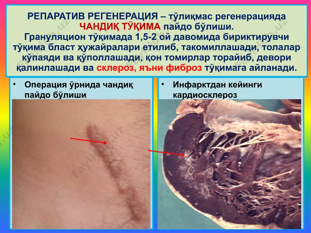мосланиш-ўрин алмашиниш жараёнлари - Page 5