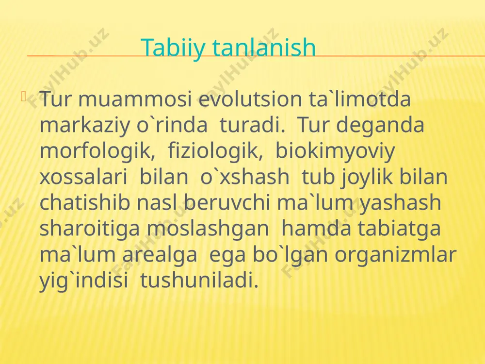 tur evolutsiyasining asosiy bosqichlari - Page 2