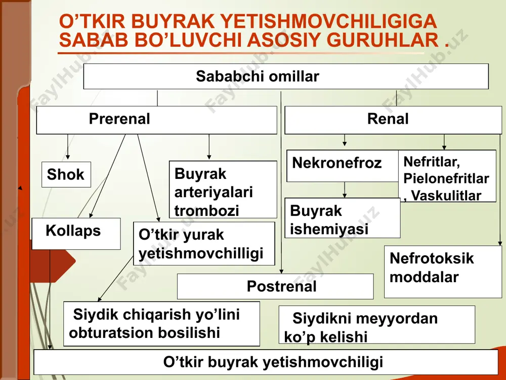 un ichida uremik inoksikatsiyaga adobtatsiya oqibatida xech qanday o’zgarishlar kuzatilmaydi. oligo-anuriya bosqichida o’by klinikasi yaqqol namoyon bo’ladi. kasallikning 4-6- kuni uremik intoksikatsiya belgilari, gemodinamika, sem, kim buzilishlari rivojlanadi siydik chiqarish yo’llari obstruksiyasi palliativ yoki radikal operativ usul bilan davolanishi o’by belgilarini bartaraf etadi . buyrak kasalliklarida asosiy klinik sindromlar -nefrotik sindrom -nefritik sindrom -uremik sindrom -gipertonik sindromlar nefrotik sindrom –buyraklarning filtratsiya qobilyatining pasayishi bilan bog`liq kelib chiqishi bo’yicha turlari: 1. birlamchi : -boshqa kasalliklarga bog’liq emas -tug’ma va lipoid nefroz natijasida kelib chiqadi. 2. ikkilamchi: -turli kasalliklar natijasida kelib chiqadi: (glomerulonefrit, xomiladorlik nefropatiyasi, qandli diabet, qizil volchanka) nefrotik sindrom -yuqori proteinuriya (siydikda oqsilning bir kunda 3.5 g dan oshishi) -gipoproteinemiya (qonda oqsilning kamayishi ) - disproteinemiya -gipperlipidemiya (qonda yog`lar miqdorining oshishi) -massiv shishlar (to`qimalarda suyuqlik to`planishi 10 nefritik sindrom-buyraklarning yallig`lanishi bilan bog`liq sindrom 11 -gematuriya- (siydikda qon bo`lishi) -proteinuriya- (siydikda oqsilning ko`payishi) -gipertenziya- (qon bosimining ko`tarilishi) -shish -(to`qimalarda suyuqlik to`planishi) …