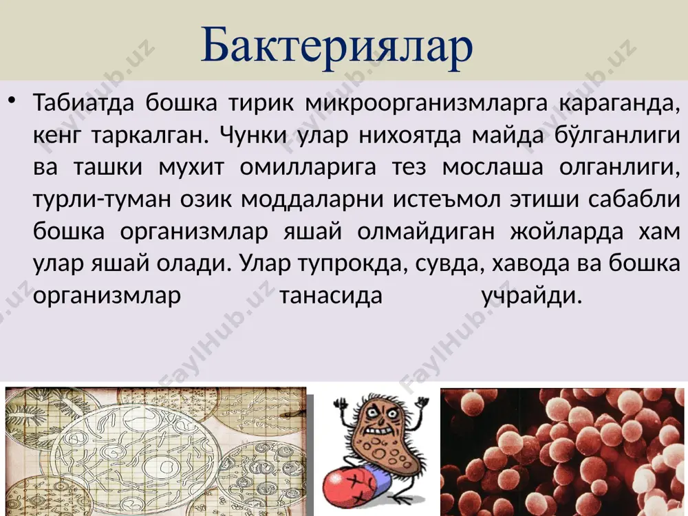 iladi. suvda mikroorganizmlarning tarkalishi: suvda mikroorganizmlarning yashashi va ko'payishi uchun sharoit mavjud bo'lgani uchun, unda doimo mikroblar bo'ladi. suvda kasallik ko'zg'atuvchi mikroblarning bo'lishi ayniksa odam va xayvonlar uchun juda xavflidar.suvda organik moddalar kanchalik ko'p bo'lsa, mikrobning yashashi uchun sharoit shunchalik kulay bo'ladi. suvning mikroflorasi o'zgaruvchan bo'ladi, ya'ni u yil fasllariga bog'lik. yomg'ir suvi yoki kor erigandan keyin suvga atrof muxitdan ko'plab mikrob ko'shilib, arik, ko'l va dengiz suvlarida mikroblar nixoyat ko'payadi. www.arxiv.uz suv mikro-biotsenozining miqdori va sifati suv tarkibidagi mineral tuzlar va organik moddalar kontsentratsiyasi, fizik-kimyoviy hususiyati, harorat, rn, kislorod va karbonat angidrid miqdori, suvning oqish tezligiga bog'liq (masalan, tog' suvlari oligosaprob zonaga mansub). mikroorganizmlar miqdori va ular faoliyati suvning yuzasi va tagida (balchiqda) turlicha. suvning tagida, loyqasida chirish va bijg'ish jarayonlari jadal kechadi. suv yuzasida esa mikroorganizmlar yupqa parda hosil qilib joylashadi. suv havzalarining qirg'oqlarida, asosan, ko'p aholi yashaydigan punktlarga yaqin bo'lgan ochiq suv havzalarida ko'plab tranzit mikroorganizmlar uchraydi. …