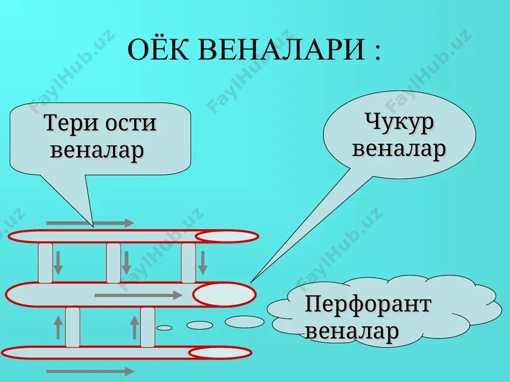 оёқ веналарининг варикоз касаллиги - Page 3