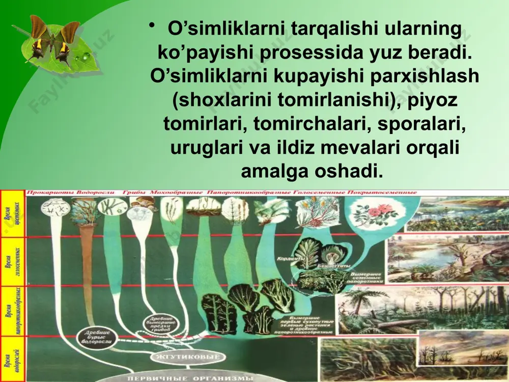 organizmlarning tarqalishi usullari va tarqalishining to’sqinliklari - Page 4