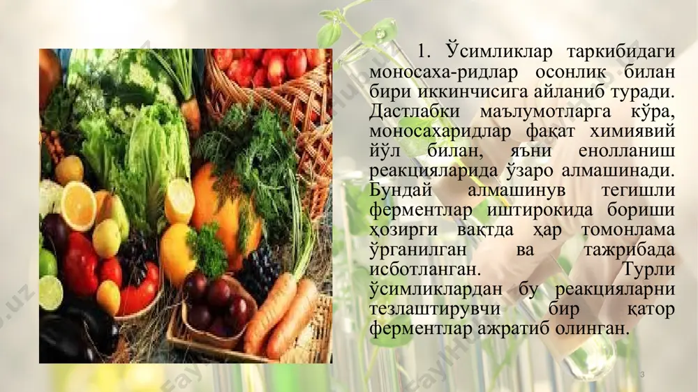 ган моносахарид қолдиғи бир моллекула фосфат кислота билан реакцияга киришиб, глюкоза-1-фосфат ҳосил қилади. бу фермент таъсирида фақат 1,4-боғлар парчаланади. бу жараёнда запас крахмалнинг кўп қисми фосфорилаза ферменти иштирокида глюкоза-1-фосфатга айланади. * углеводларнинг карбонат ангидрид ва сувгача парчаланиши натижасида химиявий энергия ажралиб чиқади ва атф нинг макроэргик боғларида тўпланади. шу билан бирга уларнинг парчаланишида бир қатор оралиқ бирикмалар ҳосил бўлиб, бу бирикмалар тирик организмларда учрайдиган бошқа органик моддаларнинг асосини ташкил этадиган ёғ кислоталар, аминокислоталар ва бошқа бирламчи маҳсулотлар манбаи ҳамдир. * ўсимликлар таркибида учрайдиган барча полисахаридлар ва олигосахаридлар бир қатор ферментлар иштирокида аввал моносахаридларгача парчаланади. эркин моносахаридларнинг фосфорланиш реакциялари уларнинг парчаланишидаги муҳим босқичлардан бири ҳисобланади. бунда реакцион қобилияти жиҳатидан моносахаридларга нисбатан бир мунча фаол бўлган фосфорли эфирлар ҳосил бўлади ва шу сабабли бу реакциялар кўпинча фаоллаштириш реакциялари деб ҳам аталади. * моносахаридларнинг фосфорли эфирлар, хусусан, глюкоза-6-фосфат ҳужайра ва тўқималарда икки хил йўл билан парчаланади. биринчи хил парчаланиш икки босқичдан иборат бўлиб, …