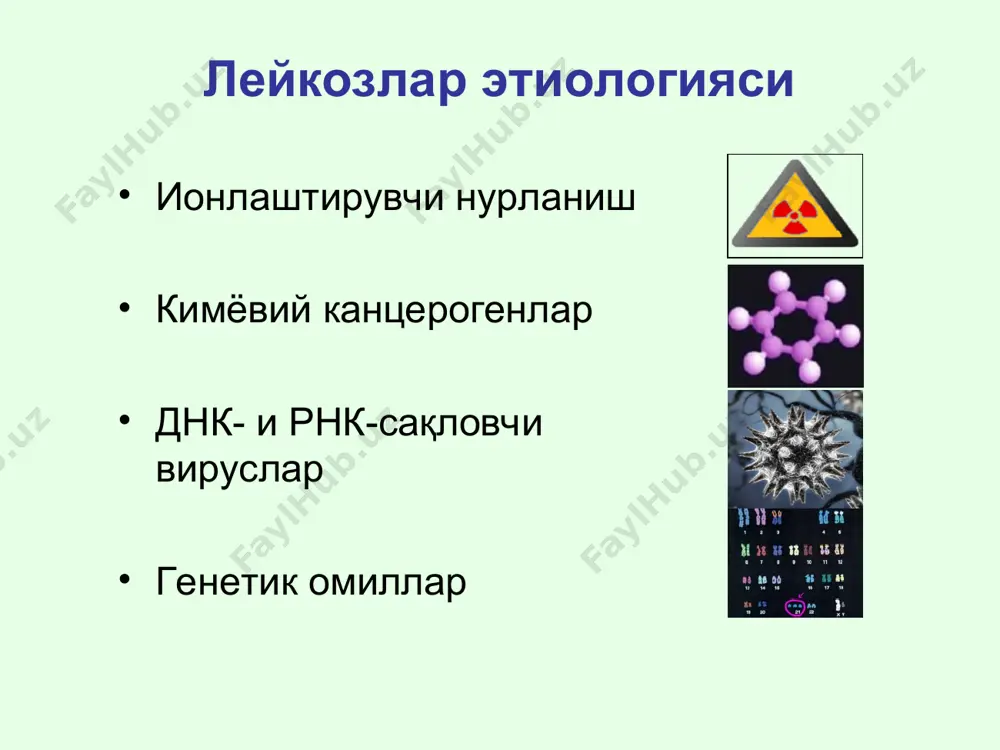 иелолейкоз (смл) кузатилади: лейкоцитоз, анемия, баъзан тромбоцитопения қон таҳлили: iv синф – бир неча % v синф – етилаётган ҳужайралар (промиелоцитлар, миелоцитлар, метамиелоцитлар, таёқча ядролилар) анчагина ошиши vi синф – лимфоцитопения, сегмент ядроли нейтрофиллар камайиши, «эозинофил-базофил ассоциацияси». жигар ва талоқ каталашуви (лейкоз инфильтрацияси). авж олган босқичида «бластли криз» ривожланади, тери, миокард, лимфа тугунлар ва бошқа аъзоларда лейкемик инфильтратлар ривожланади. сурункали миелолейкоз периферик қон эътиборингиз учун раҳмат! unknown-1.psd unknown-2.psd unknown-3.psd