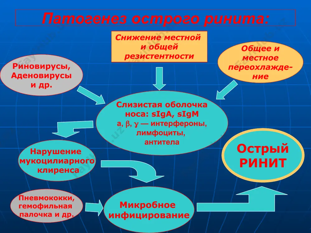 острый ринит - Page 4