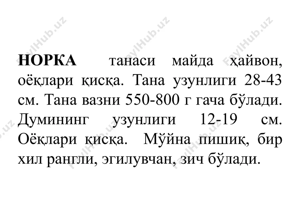 хорёк - Page 3