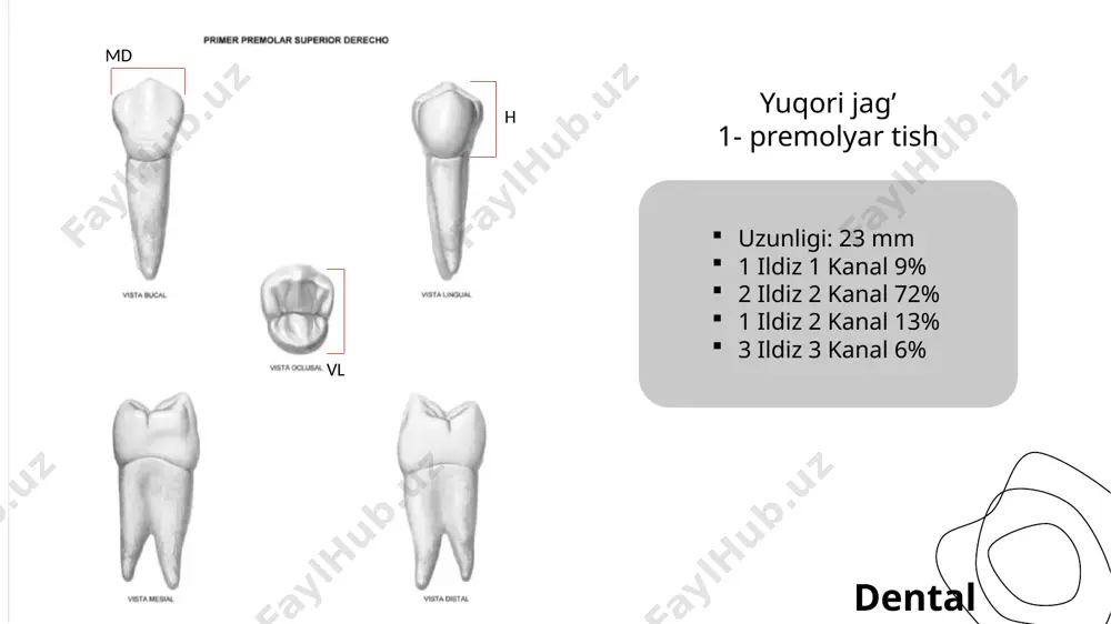 dental student - Page 5