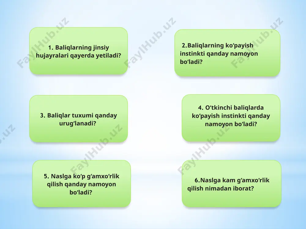 uchun ovlanadi. xulosa. baliqlar suvda yashashga turlicha moslanishgan. suv qa’rida yashovchi baliqlar tez harakatlanadi, tanasi suyri shaklida; suv tubida harakatlanadigan baliqlar tanasi yapaloq; korall riflari orasida yashaydigan baliqlar tanasi rangli. tog’ayli baliqlar skelati tog’aydan iborat; jabra qopqoqlari va suzgich pufagi bo’lmaydi. ular akulalar va skatlarga ajratiladi. akulalar yirik, dum suzgichi kuchli rivojlangan, teri tangachalari emal bilan qoplangan, qalin va yirik bo’ladi. skatlar – tanasi yassi; suv tubida yashaydi; dum suzgichlari xivchinga aylangan; ko’krak suzgichlari tanasi bilan tutashib ketadi. iv mavzuni mustahkamlash. 1. baliqlar yashash sharoitiga qanday moslashgan? 2. tog‘ayli baliqlar qanday tuzilgan? 3. akulalar qanday tuzilgan? 4. akulalar terisidagi tangachalar qanday tuzilgan? 5. skatlar suv tubida yashashga qanday moslashgan? 6. skatlarning qanday himoyalanish vositalari bor? v. yakuniy qism. o’quvchilarni darsdagi ishtirokiga qarab ballar qo’yiladi va rag’batlantiriladi uy vazifasi. mavzuni o’qib kelish,bilimingizni sinab ko’ring, juftlab yozing, tasdiqlovchi javoblarni aniqlang, jumboqni yeching topishmoqni toping. image1.jpeg image2.wmf image3.jpeg image4.jpeg image5.jpeg image6.jpeg image7.png image8.jpeg …