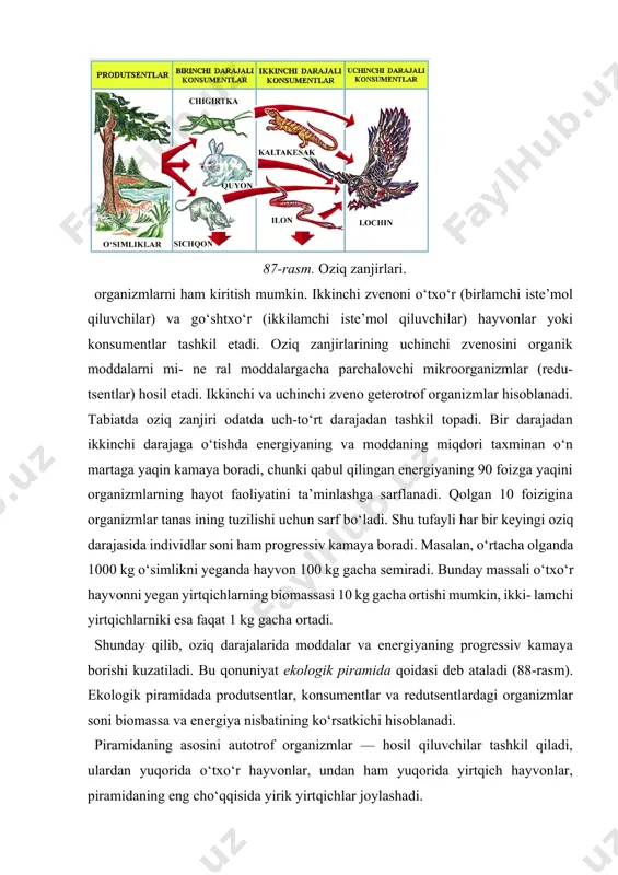 ergiya nisbatining ko‘rsatkichi hisoblanadi. piramidaning asosini autotrof organizmlar — hosil qiluvchilar tashkil qiladi, ulardan yuqorida o‘txo‘r hayvonlar, undan ham yuqorida yirtqich hayvonlar, piramidaning eng cho‘qqisida yirik yirtqichlar joylashadi. suv havzalaridagi oziq zanjirining tipik misoli fitoplankton— zooplankton — mayda baliqlar — yirik baliqlar hisoblanadi. bu oziq zanjirida ham biomassa va energiya miqdori ekologik piramida qoidasiga muvofiq tobora kamaya boradi. sun’iy qishloq xo‘jalik ekosistemalarida ham har bir keyingi oziq zanjiri darajasida energiya miqdori 10 martagacha kamaya boradi. biogeotsenozning eng muhim xususiyatlaridan biri o‘zo‘zini idora qilishdir. o‘z-o‘zini idora qilish — tabiiy sistema- ning qandaydir tabiiy ta’siri yoki antropogen ta’siridan keyin o‘z ichki xususiyatlarini qayta tiklash qobiliyatidir. o‘z-o‘zini idora qilishning yorqin misoli — keng bargli o‘rmondagi biogeo tsenozdir. bu yerda o‘simliklar joy, yorug‘lik va suv uchun raqobatlashadi. bu xildagi biogeotsenozlarda yaruslik, ya’ni o‘simliklar jamoasining vertikal bo‘ylab bir necha qatorda joylashishi kuzatiladi. keng bargli o‘rmonning birinchi yarusini yorug‘sevar 88-rasm. sonlarning soddalashtirilgan ekologik piramidasi. daraxtlar (eman, …