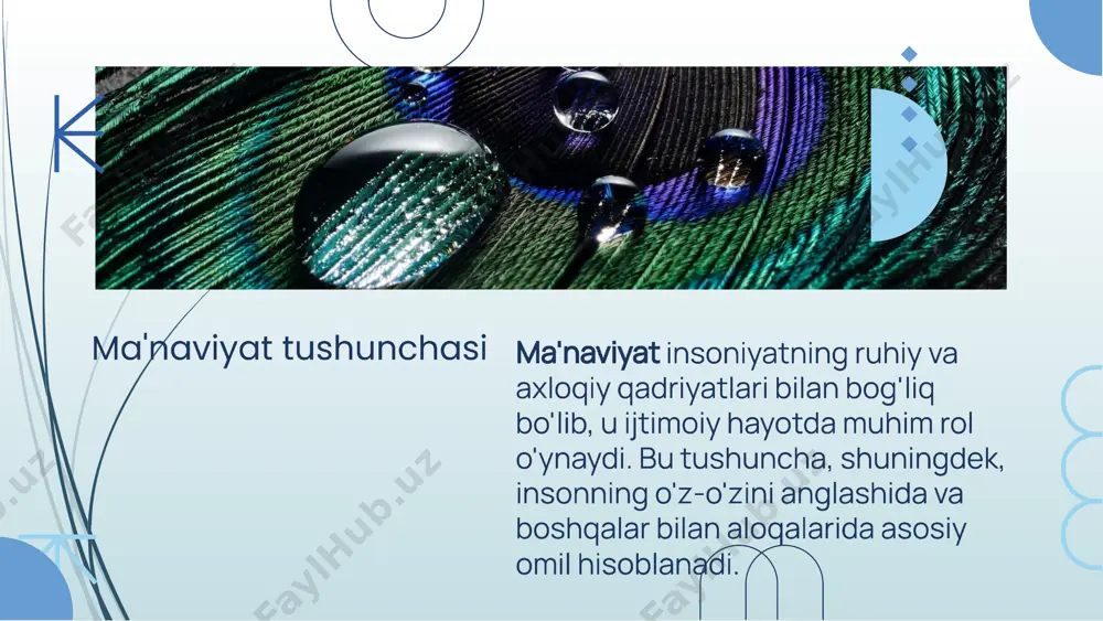 ma(mag) 1-24 guruh talabasi - Page 3