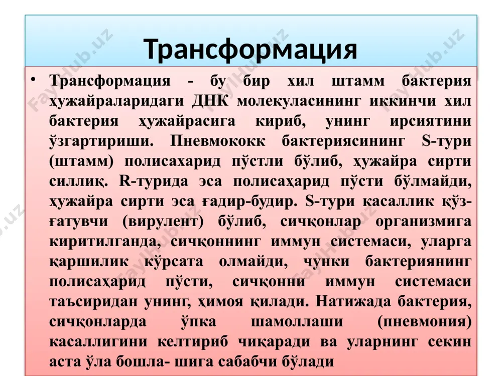рак. бактериянинг иккинчи тури (2а) ҳам мутант бўлиб, унда гистидин аминокислотаси синтезини бошқарувчи ген мутацияга учраган. трансдукция. шунинг учун бу бактерияларни сунъий ўстиришда озуқасига гистидин кўшилиши керак. шу иккала тур бактерияларни юқорида эслатилган, ўртасида филтри бор идишда маълум вақт сунъий ўстирилгач уларни алоҳида-алоҳида идишларга кўчирилди ва 22а тур бактериялар озуқасига триптофан қўшилмаганда ҳам айримларининг тирик қолганлиги кузатилди. демак, айрим бактериялар ҳужайрасида триптофанни синтез қила олиш қобилияти пайдо бўлиб, бу ҳужайралар ўзига ўхшаган бактерияларни ҳосил қила бошлаган. бактерия триптофанни синтез кила олиш хусусияти шу аминокислотанинг синтезини амалга оширувчи геннинг фаг орқали 2а тур бактериядан 22а бактерияга ўтказилиши натижасида содир бўлади. демак, фаглар ўзи яшаб турган бактерияни нобуд қилганда, унинг днк сини майда бўлакларга ажратиб шу бўлаклардан бирини, яъни триптофан синтезини амалга оширувчи гени бор бўлагини ўзининг днк сига бириктириб олиб, иккинчи бактерия ҳужайрасига кирганда уни шу бактерия днк сига бириктиради. натижада бу бактерия хусусияти ўзгариб триптофанни синтез қила оладиган бўлиб қолади, …